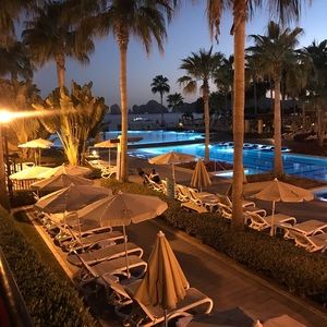 Meet your Posher, Bernie